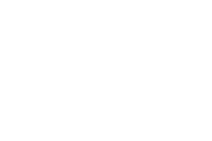 Data Monitor