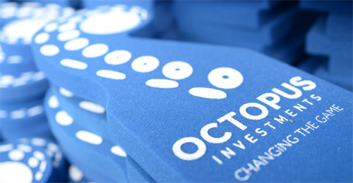 Octopus Investments Case Study