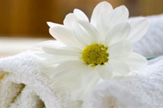NO HANDS Massage Company - Case Study